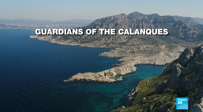 Coastal Views: Calanques National Park In France