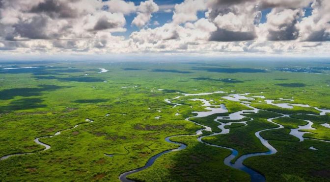 Views: Secret Islands Of The Everglades, Florida