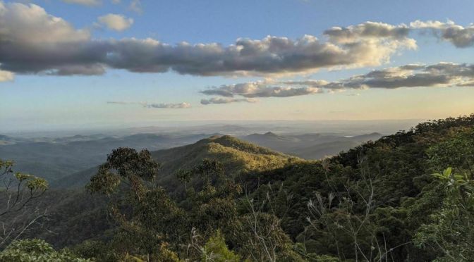 Views: D’Aguilar National Park In Eastern Australia