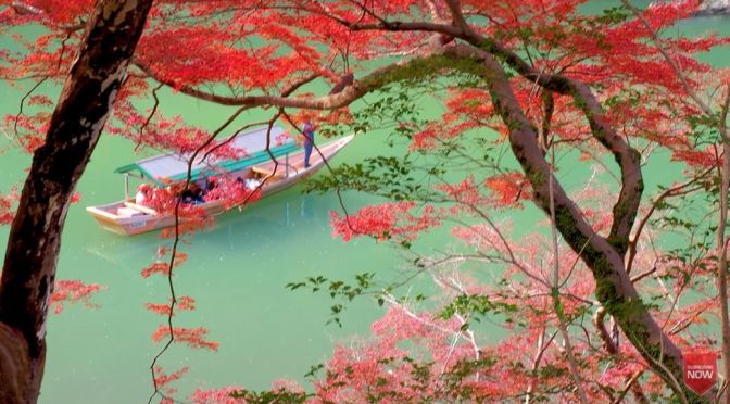 Autumn Views: Kyoto – Island Of Honshu, Japan