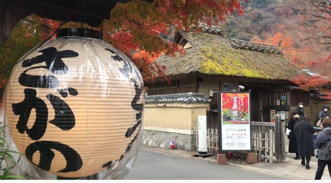Autumn Views: Arashiyama In West Kyoto, Japan (4K)