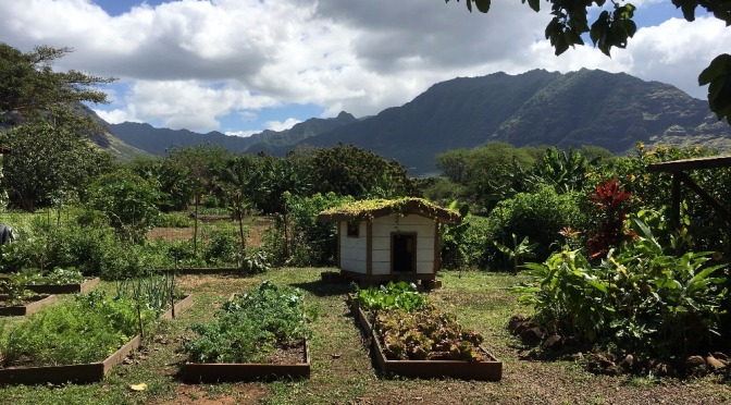 Hawaiian Views: Hoa ‘Āina O Mākaha Farm, Oahu