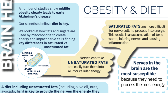 Cognitive Decline: Obesity & Poor Diet Are Top Risks