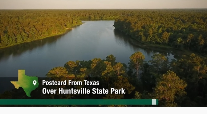Aerial Views: Huntsville State Park In East Texas