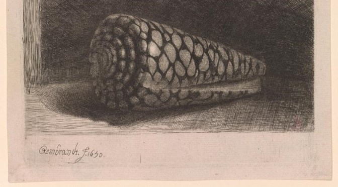 Art: Rembrandt Drawings At The Morgan Library
