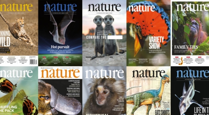 Research Preview: Nature Magazine – Oct 13, 2022
