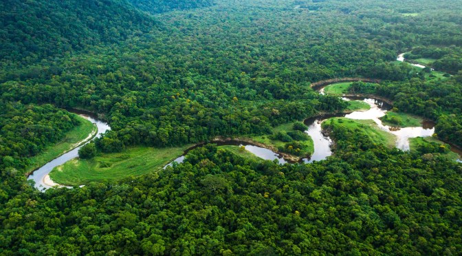 Rainforests: Indigenous People Struggle In Brazil