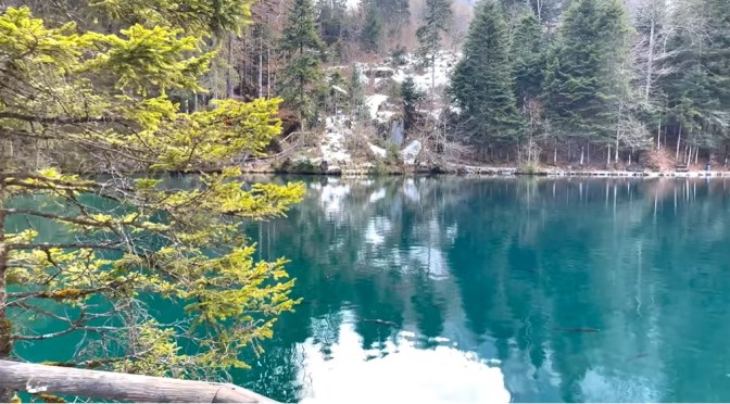 Lake Walks: Blausee In Western Switzerland