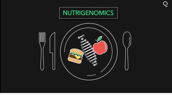 Nutrigenomics: How Diet Can Reprogram Our DNA