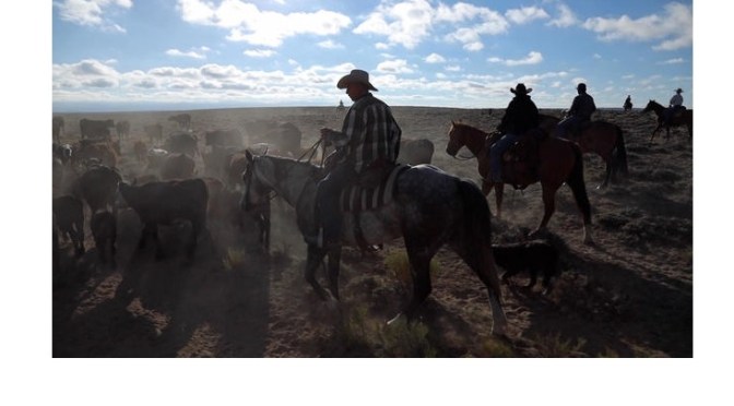 Wyoming Views: The Green River Drift Cattle Drive