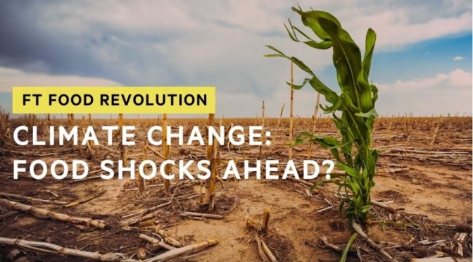 Climate Change: A World Of Future Food Shocks?
