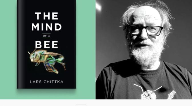 New Books: ‘The Mind Of A Bee’ – Lars Chittka (2022)