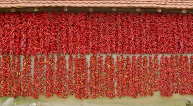 Harvests: Peppers Turn A Serbian Village  ‘Crimson’