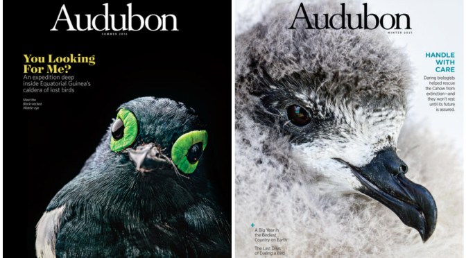 Cover Preview: Audubon Magazine – October 2022