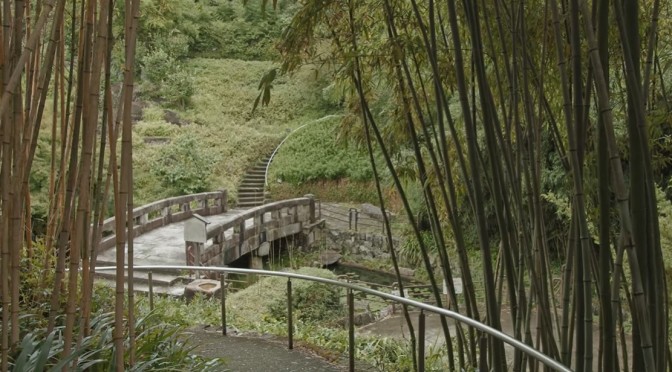 Summer Walks: A Bamboo Path At Otokuni In Kyoto