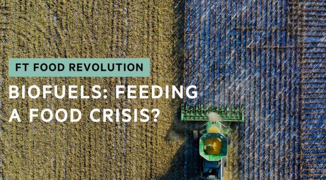 World Hunger: Is Biofuel Feeding A Food Crisis?
