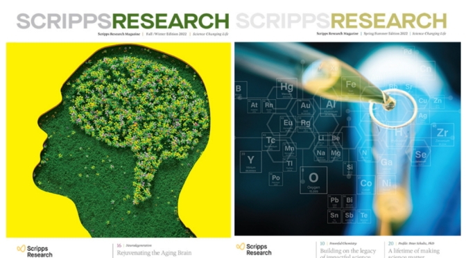 Fall 2022: ‘Rejuvenating The Aging Brain’ – Scripps Research Magazine Cover