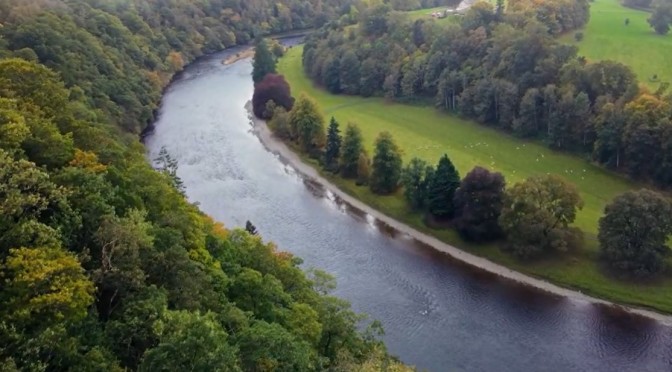 Ecology: Planting Trees To Cool Scotland’s Rivers