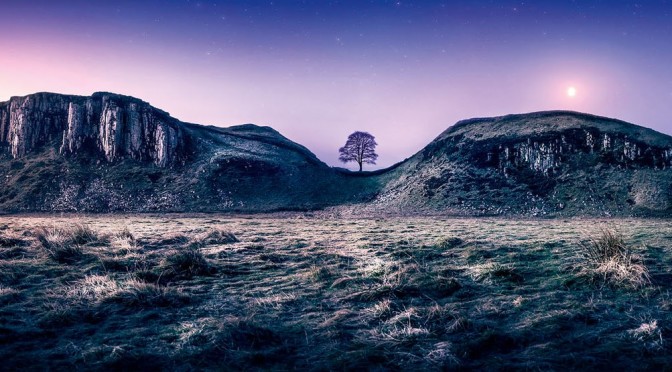 Nature: 2022 UK Landscape Photographer Of The Year
