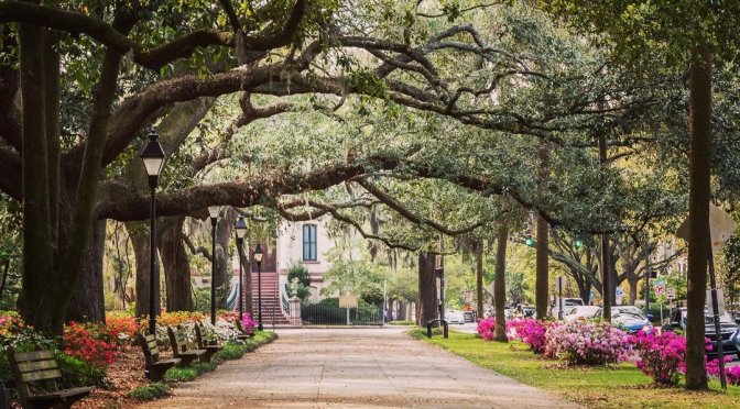 Travel Views: Savannah Historic District,  Georgia
