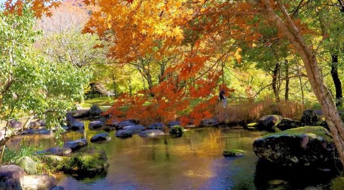 Autumn 2022 Japan Views: Shirakawa-go & Gokayama