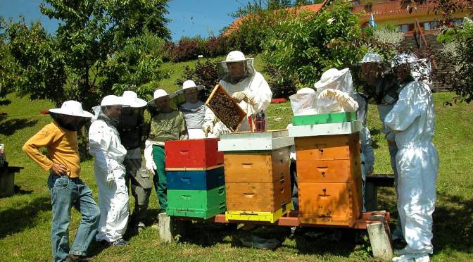 Culture & Tradition: The Beekeepers Of Slovenia