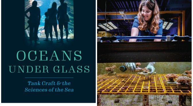 Top New Science Books: ‘Oceans Under Glass’ By Samantha Muka (Dec ’22)