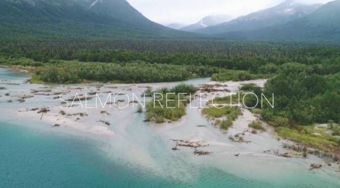 Alaska Views: ‘Salmon Reflection’ (BBC Earth)