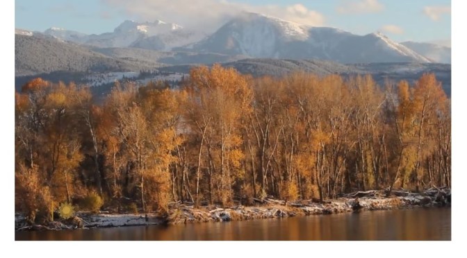Autumn Views: Aspens In South-Central Montana