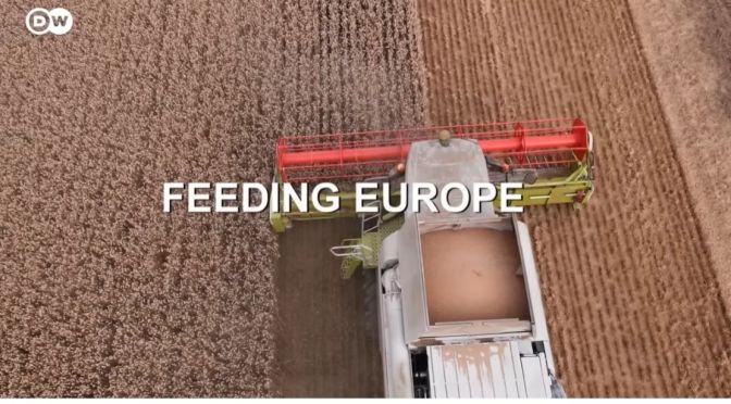 Analysis: Is Traditional Agriculture Sustainable?