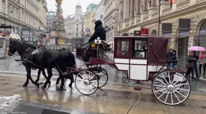 Winter 2023: A Walk In The Snow In Vienna, Austria
