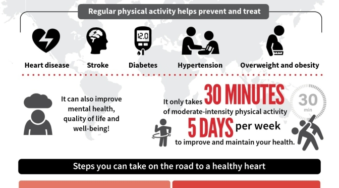 Health: Regular Exercise Prevents Heart Disease