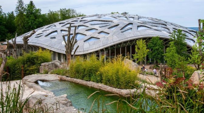 Views: A Walking Tour Of Zoo Zürich, Switzerland