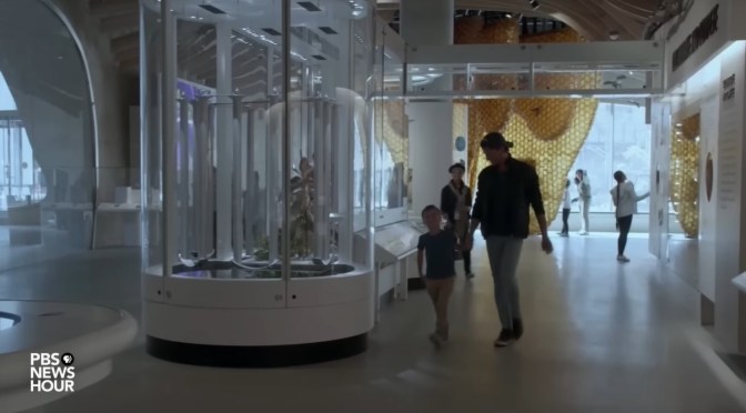 Inside Tour: Gilder Center At The American Museum Of Natural History In NYC