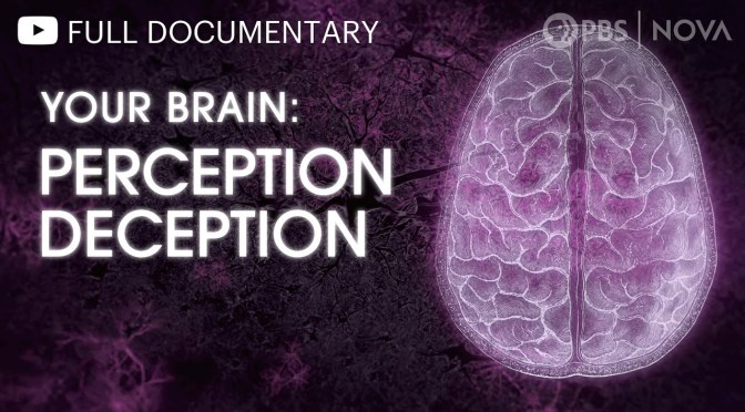 Documentary: ‘Your Brain – Perception Deception’