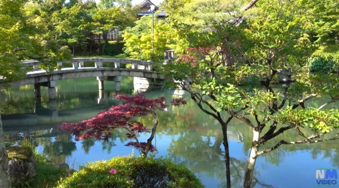 Japan Views: ‘Eikan-do – Temple Of Zen’ In Kyoto