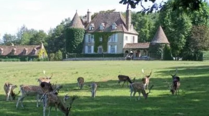 France Views: ‘Stags’ Of Boutissaint Wildlife Park