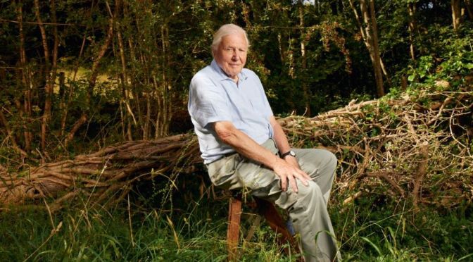 Wildlife & Travel: ‘Hold Your Breath’ Moments Of Sir David Attenborough