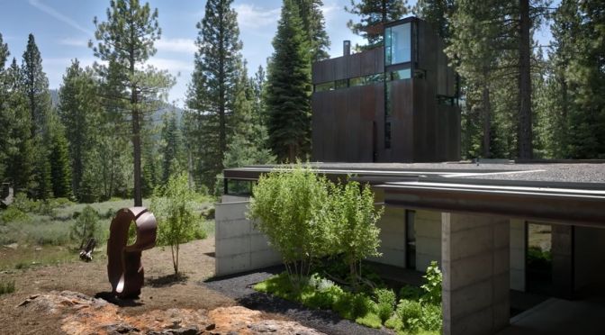 Design Tour:  A Tree House In Lake Tahoe, California