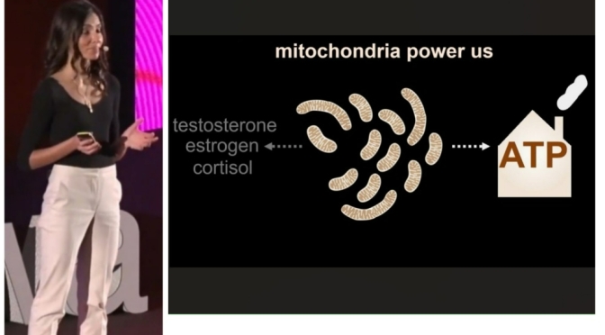 Research: Lena Pernas PhD On ‘How Mitochondria Protects Us From Disease’