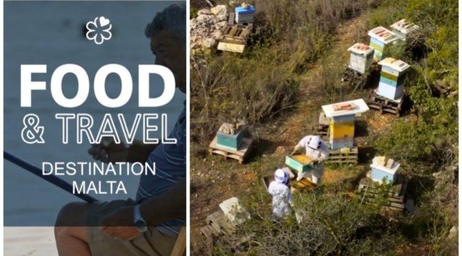 Culture & Food: Honey Production In Malta
