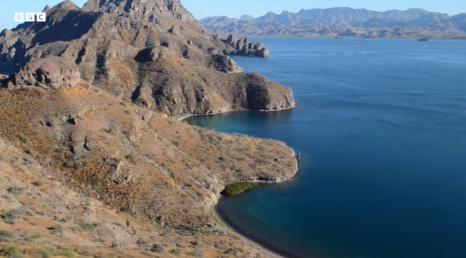 Nature: Coastal Desert Of Baja California, Mexico