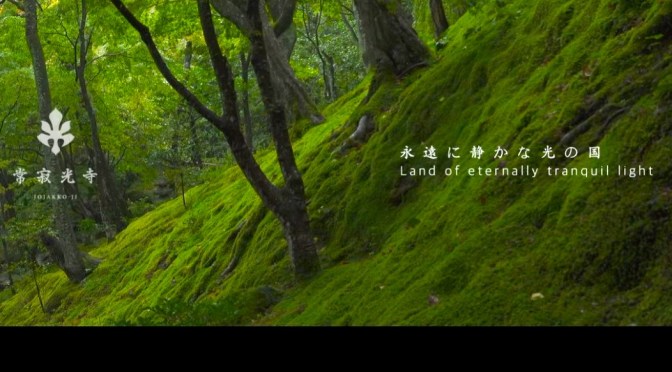 Japan Gardens: Jojakko-Ji Temple Kyoto In The Rain