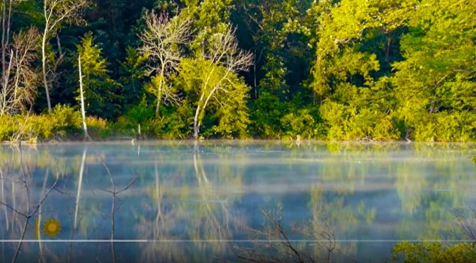 Wisconsin Views: Plover River In Stevens Point