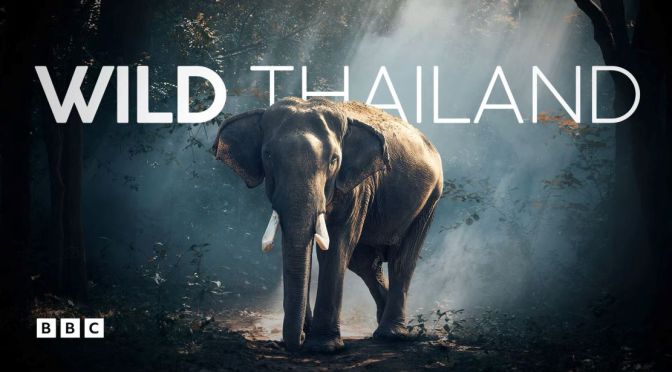 Nature Documentaries: “Wild Thailand” (BBC)