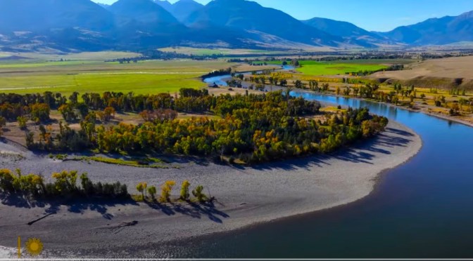 Wyoming Views: Wildlife At The Yellowstone River