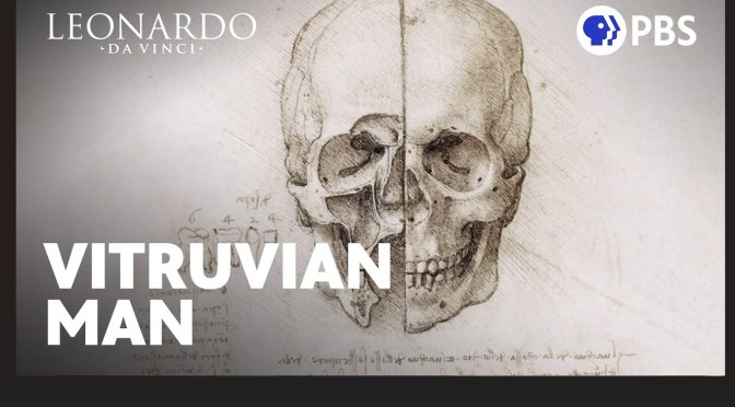 Arts: Leonardo da Vinci –  “Anatomical Studies”